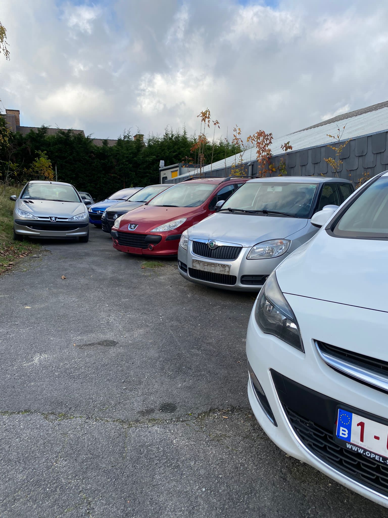 PHOTO-2021-11-22-13-05-06